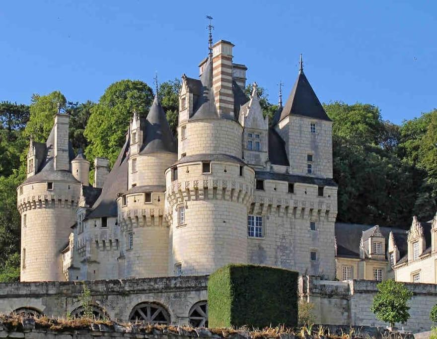 Gite Chalet-Piscine "Belle-Etoile" Touraine Anjou Courcelles-de-Touraine ภายนอก รูปภาพ