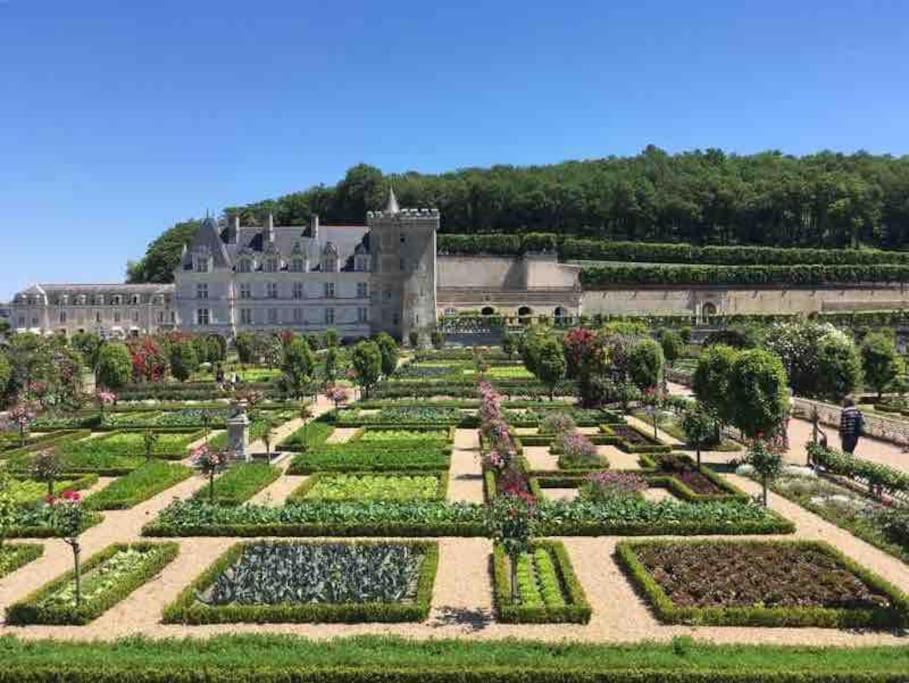 Gite Chalet-Piscine "Belle-Etoile" Touraine Anjou Courcelles-de-Touraine ภายนอก รูปภาพ